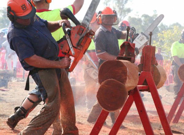Wood chopping Demo