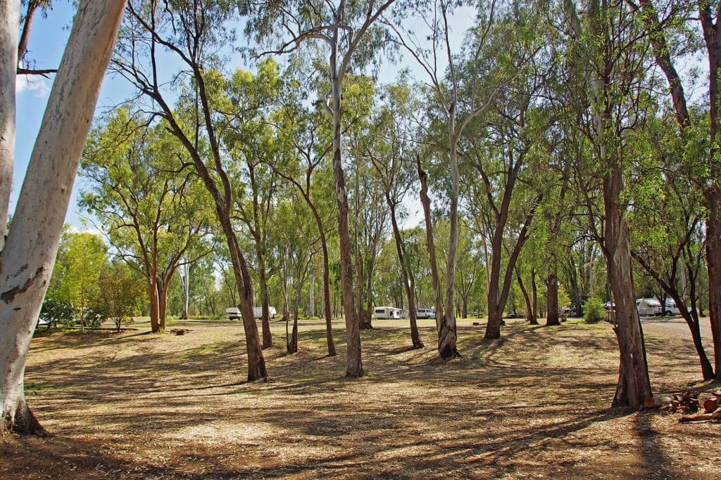 Campground Apex Park, Moura