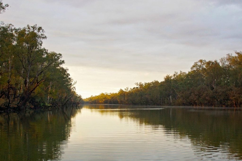 Theodore - looking down the Dawson River 