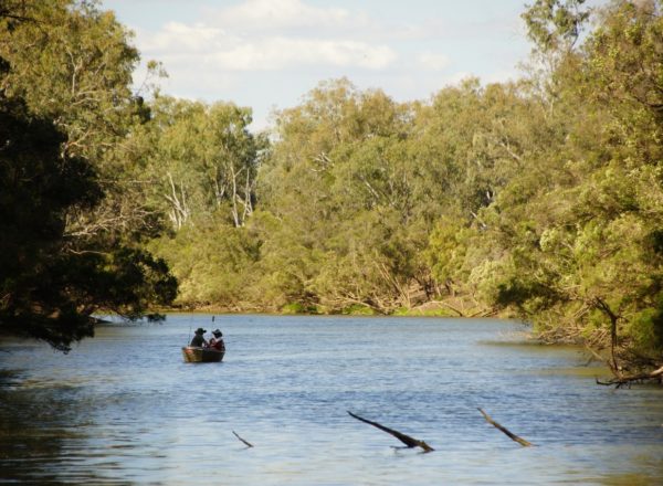 Fishing Taroom River