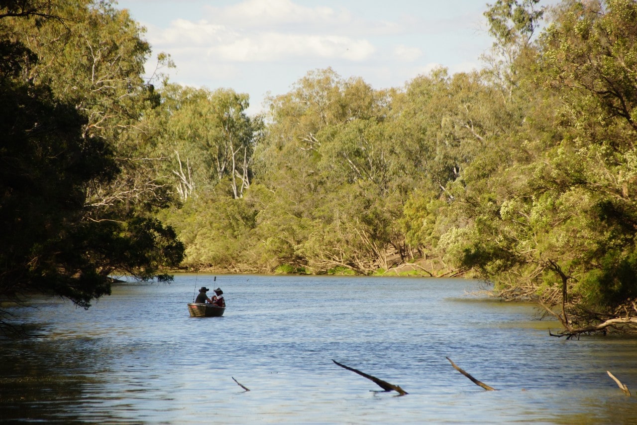 Fishing Taroom River